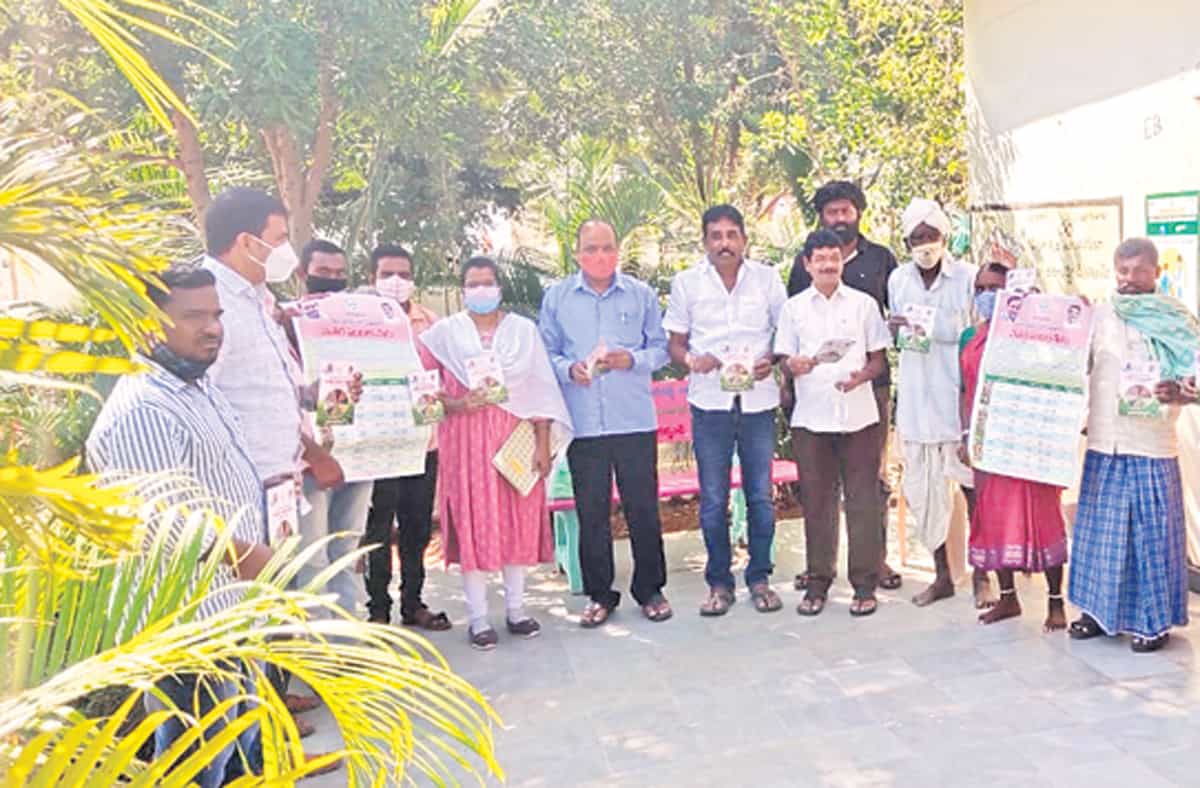 ఆరుతడి పంటలు సాగు చేసుకోవాలి