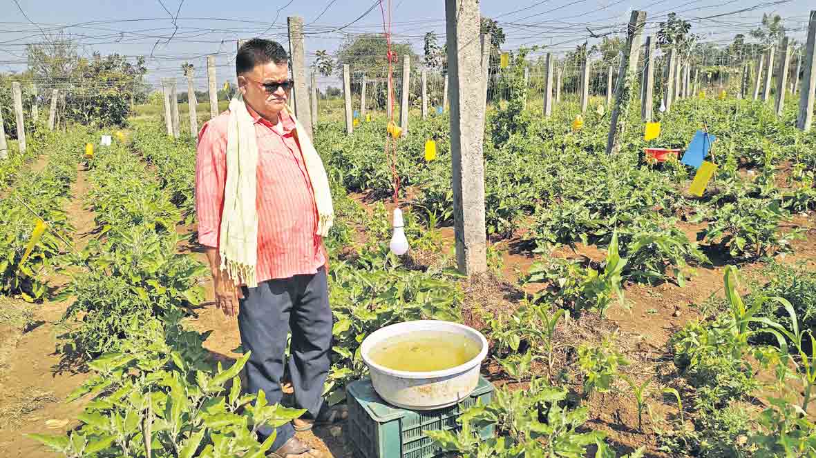 ప్రకృతి సేద్యానికి గుర్తింపు