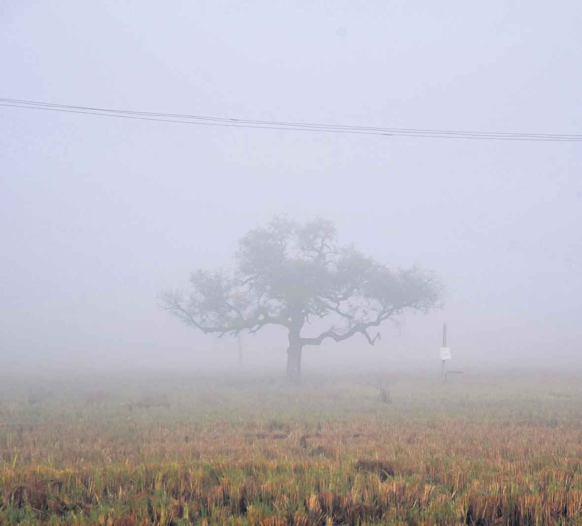 సంగారెడ్డి గజగజ