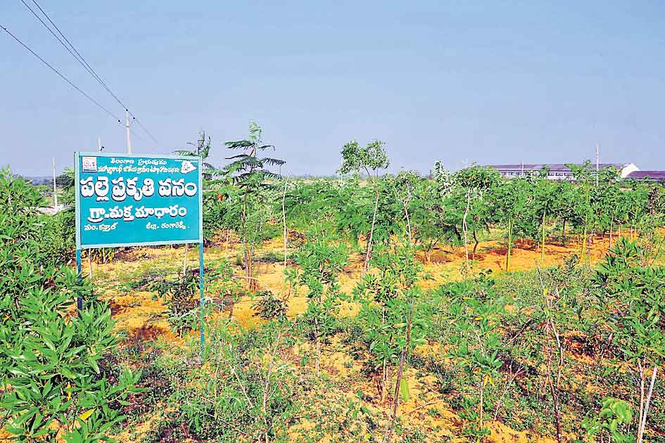 మక్తమాదారంలోమక్తమాదారంలో ప్రగతి పరిఢవిల్లి