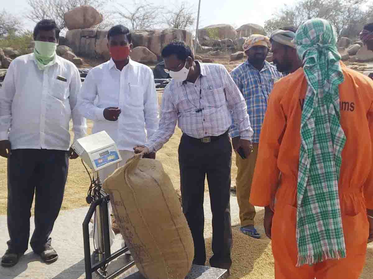 Rangareddy : వరికి బదులుగా ఇతర పంటలు సాగు చేయండి.. జిల్లా వ్యవసాయాధికారి గోపాల్‌
