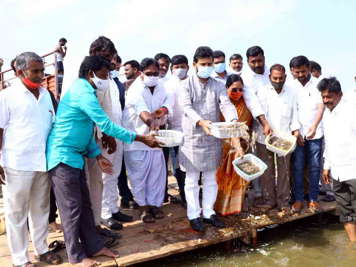 Vikarabad : మత్స్యకారుల అభివృద్ధి కోసం ప్రభుత్వం కృషి.. ఎమ్మెల్యే డాక్టర్‌ మెతుకు ఆనంద్‌