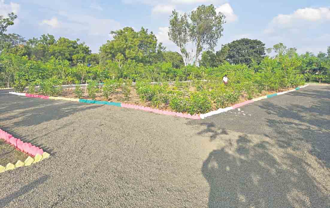 పల్లెలకు కొత్తందాలు