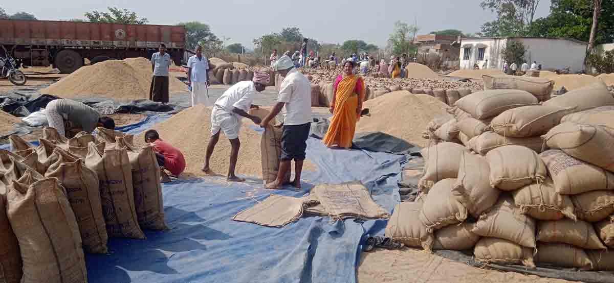 జోరుగా ధాన్యం కొనుగోళ్లు