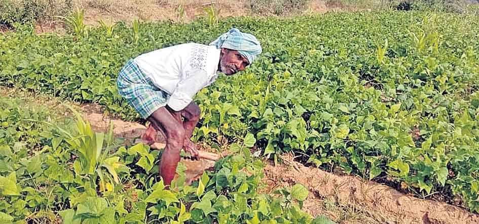 రైతు బాధ రైతుకే తెలుస్తది..