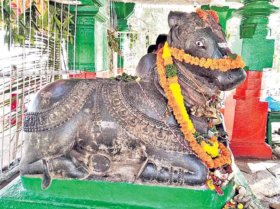 నూటొక్క నందుల.. నందివనపర్తి