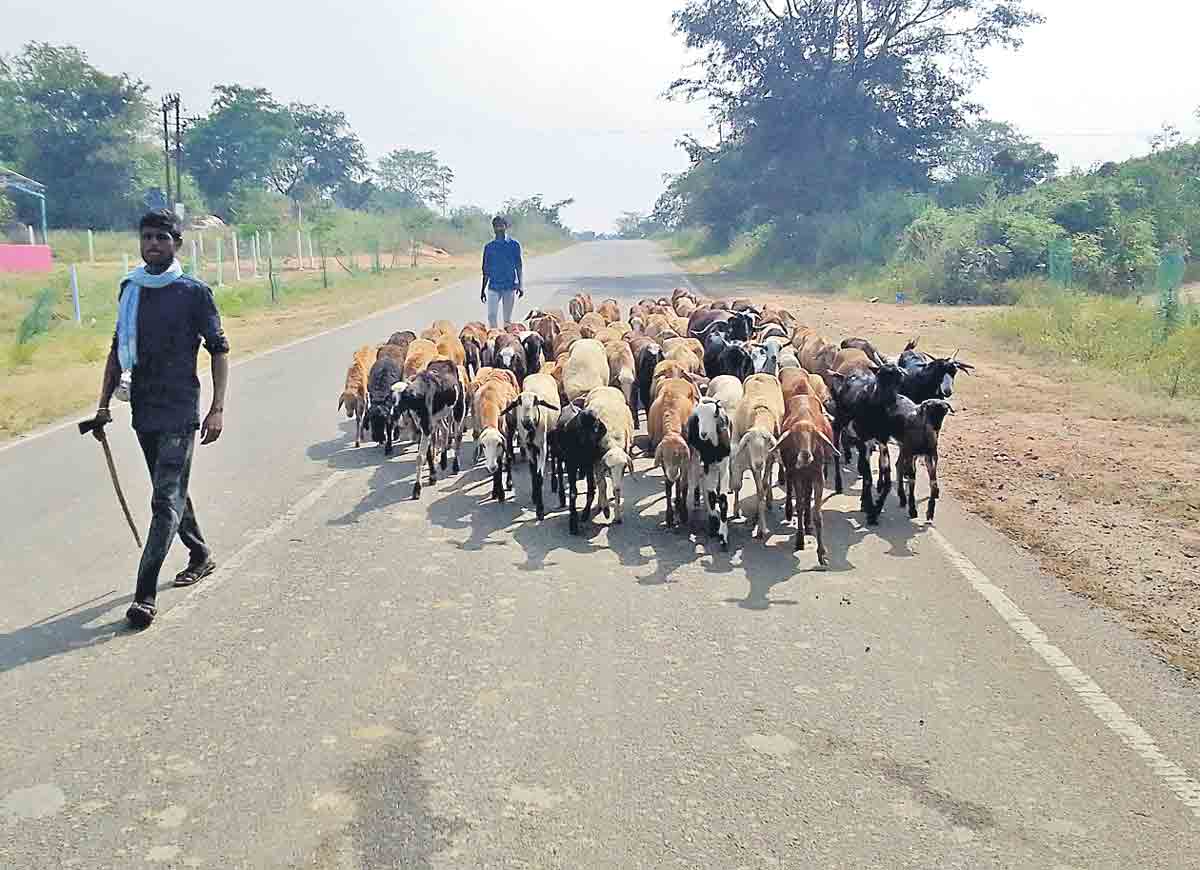 కుల వృత్తులకు సర్కారు చేయూత