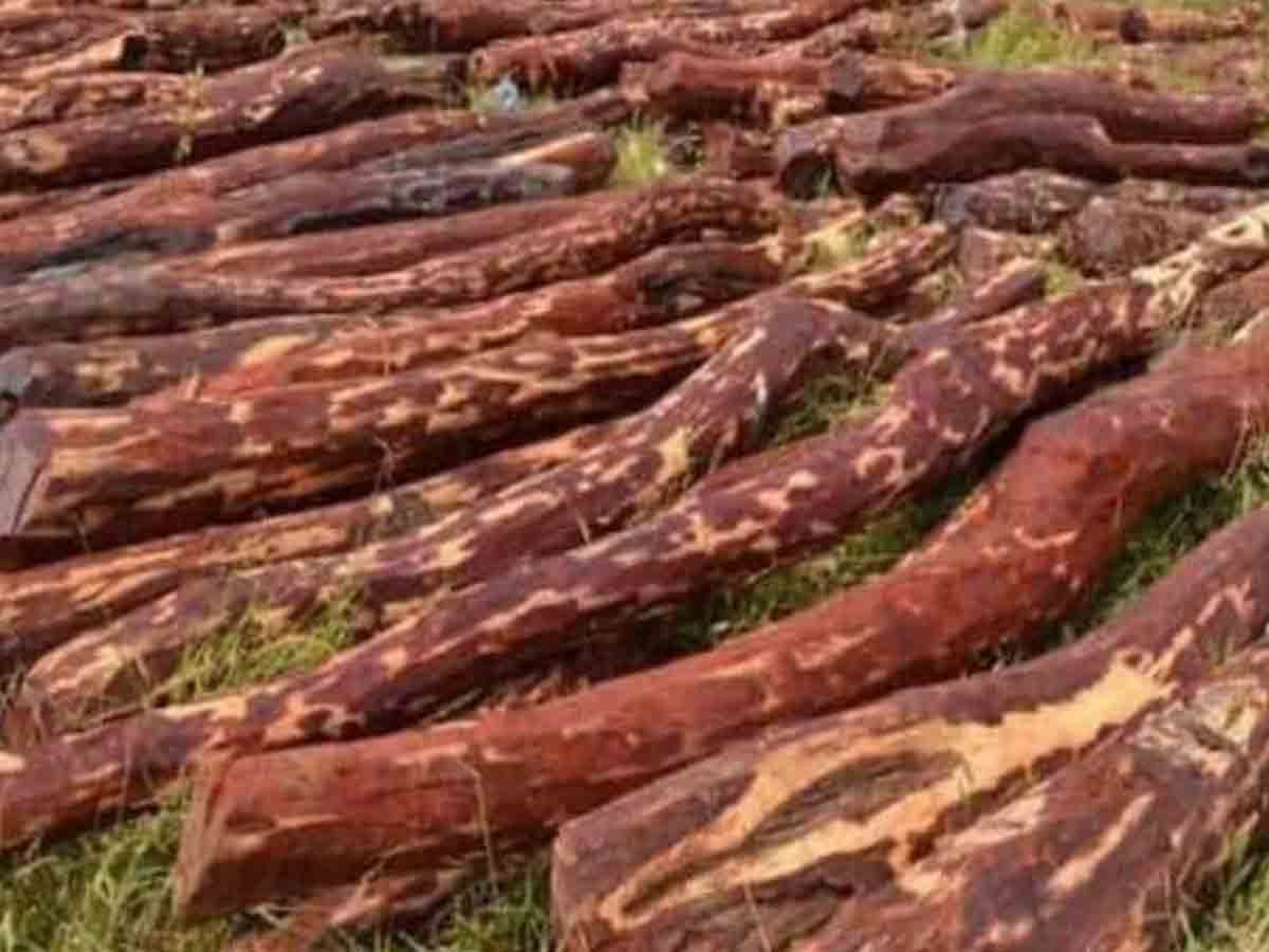 వారితోనే సమస్య.. అందుకే పీడీ యాక్ట్‌ కేసు