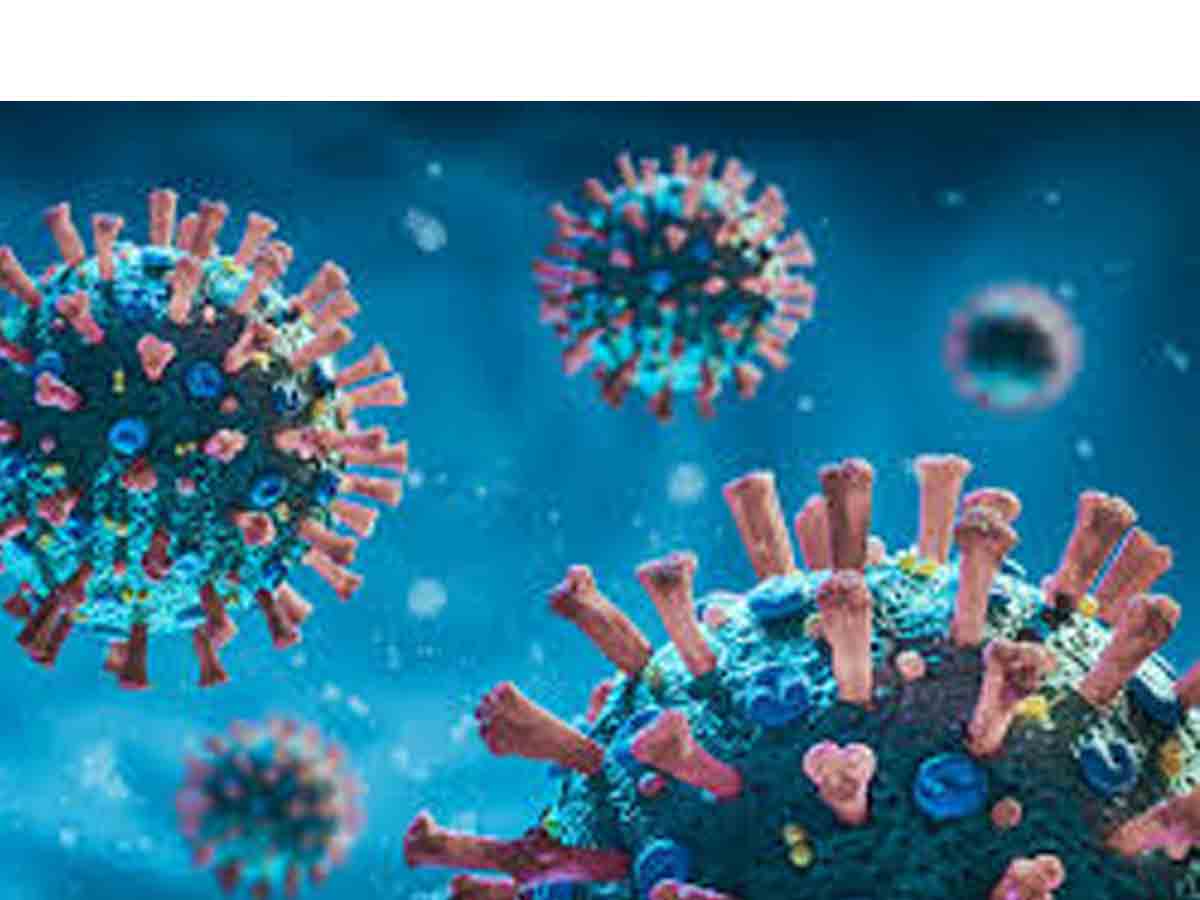 ఏపీలో కరోనా కేసులు ఎన్నంటే.. !