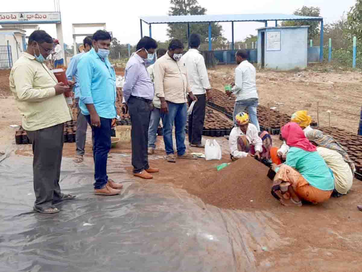 Vikarabad : నర్సరీ పనులను వేగవంతం చేయాలి.. అదనపు కలెక్టర్‌ చంద్రయ్య