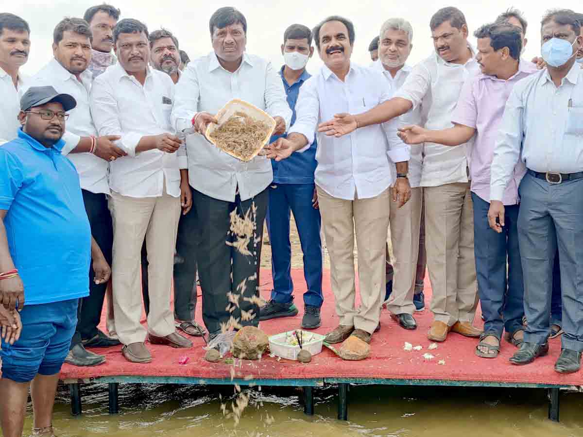 Vikarabad : రొయ్యల పెంపకానికి సర్కారు సహకారం.. ఎమ్మెల్యే కొప్పుల మహేశ్‌రెడ్డి