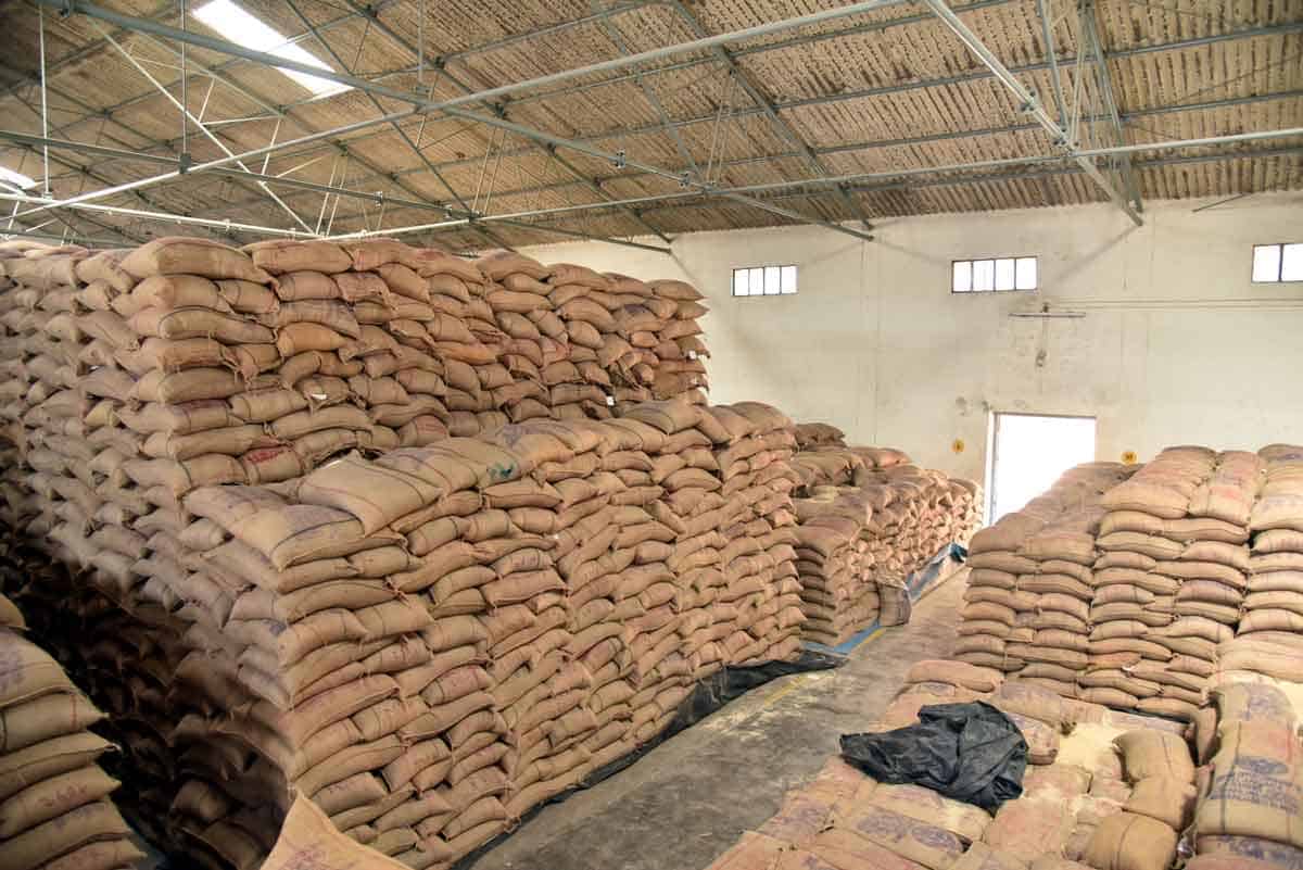 కొనేదాక కొట్లాటే