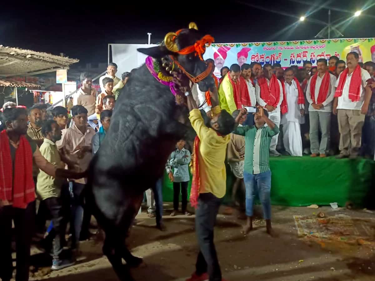 Vikarabad : ఐక్యతకు నిదర్శనంగా సదర్‌ ఉత్సవం..