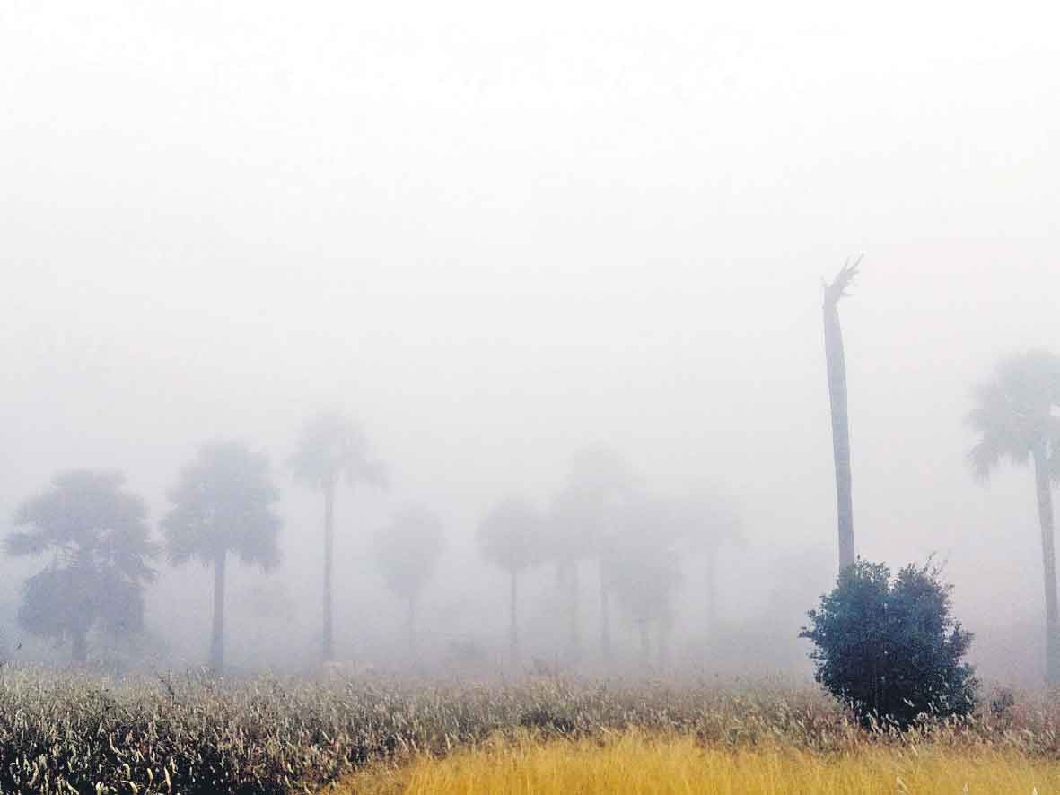 చలికాలం.. జర భద్రం..