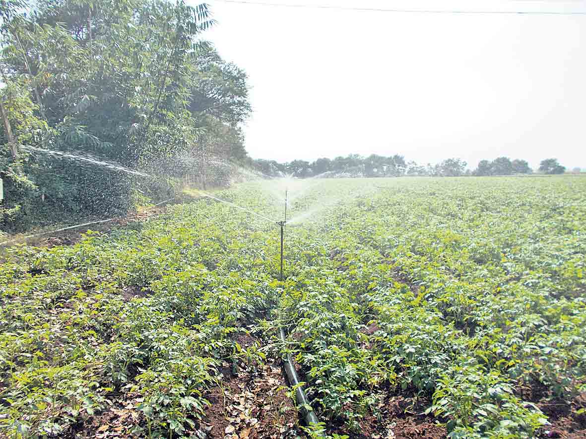 డ్రిప్‌..డ్రాప్‌