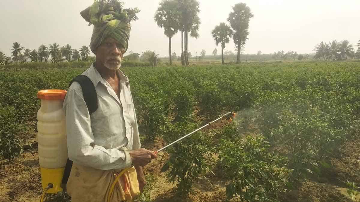 విత్తనాలూ ‘రైతుబంధు’తోనే..