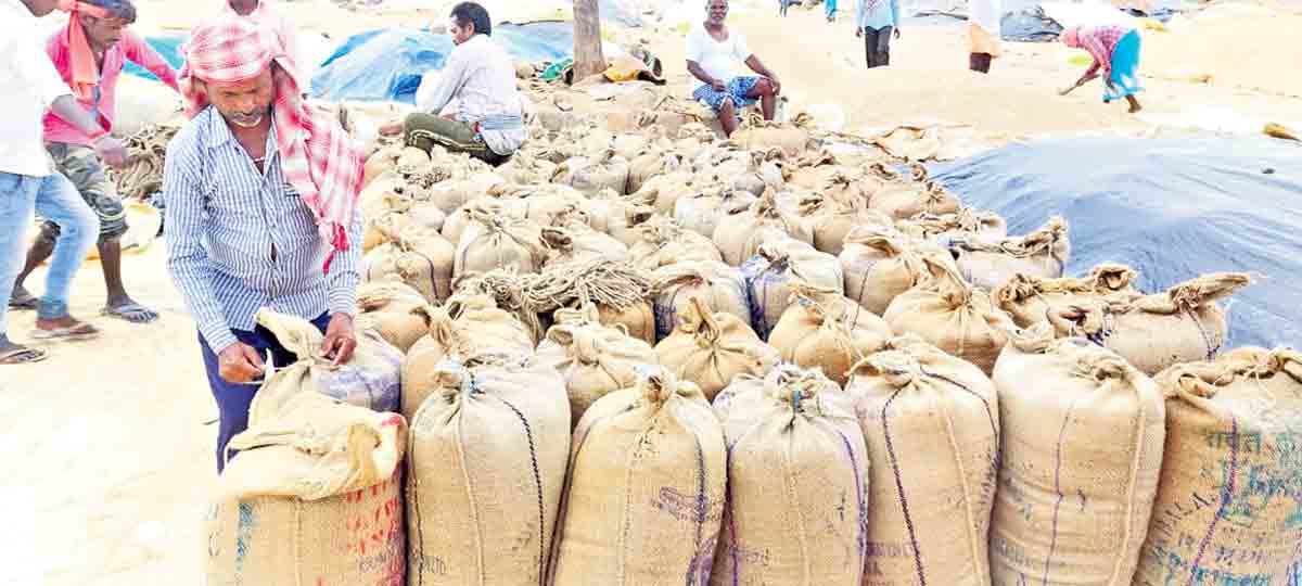 తుది దశకు చేరిన వడ్ల కొనుగోళ్లు