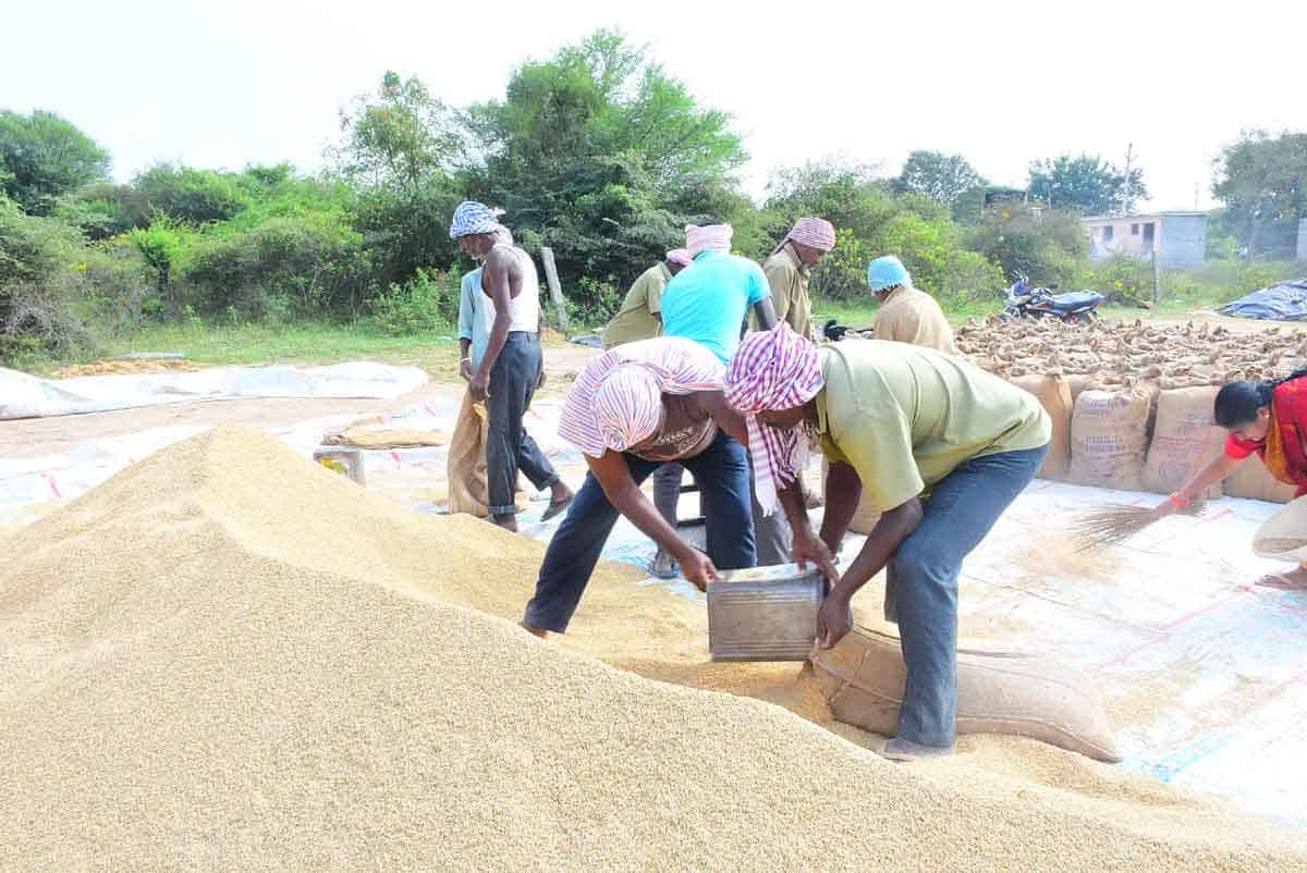 రైతన్నకు.. రంది లేకుండా..