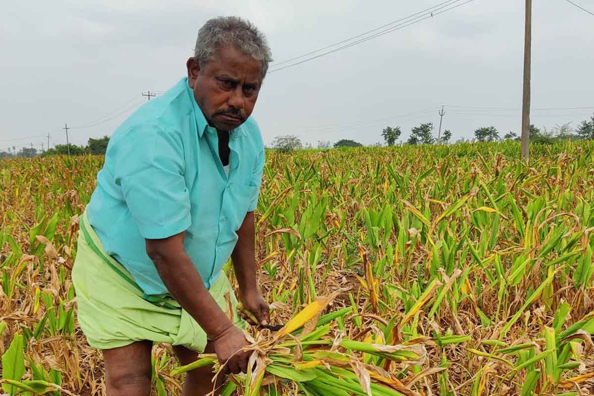 మూడు రోజులు.. రూ.311.42 కోట్లు