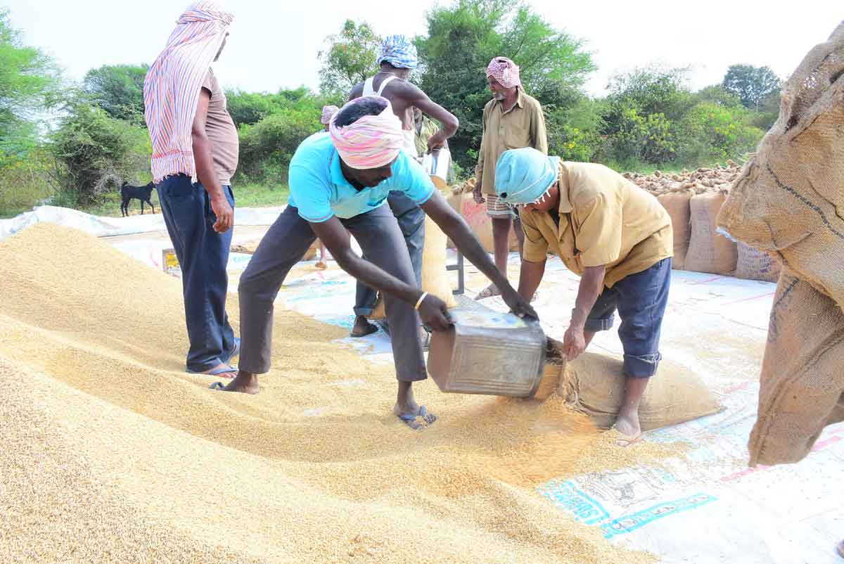 జోరుగా ధాన్యం.. చకచకా కొనుగోళ్లు
