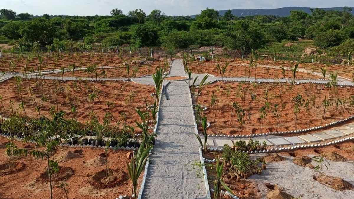 స్వచ్ఛత గ్రామాలు