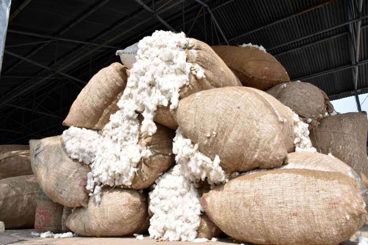 తెల్లబంగారం అ‘ధర’హో