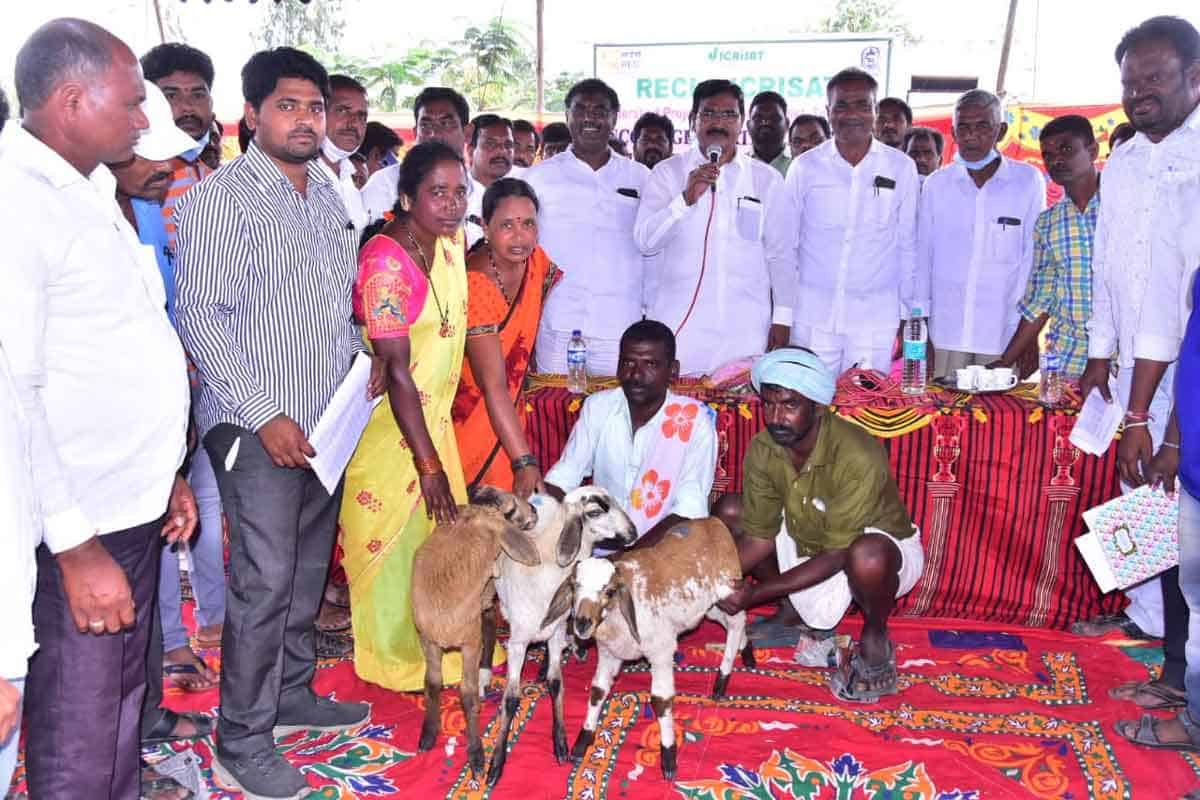 ఆర్థిక పరిపుష్టి సాధించాలి