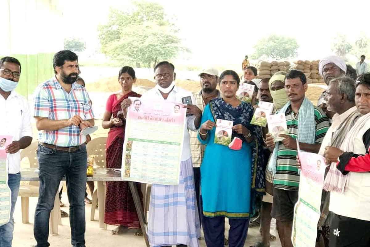 ఆయిల్‌పామ్‌ వైపు దృష్టి సారించాలి