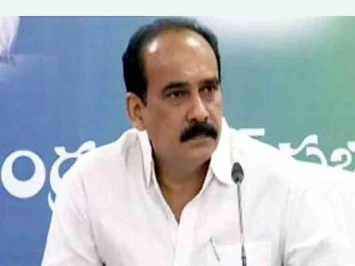 టీడీపీ బతకాలంటే ఎన్టీఆర్‌ కుటుంబ సభ్యులు రావాల్సిందే : మంత్రి బాలినేని