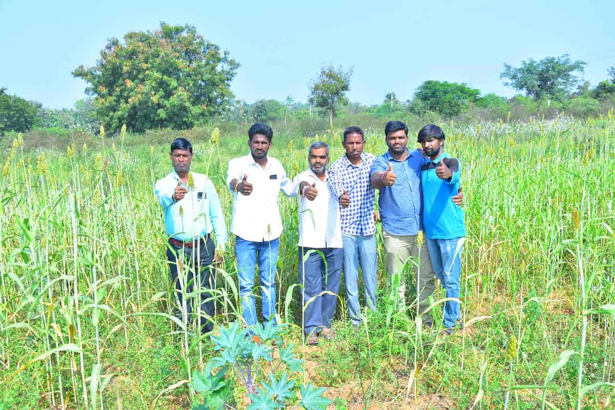 సేద్యం కలిపిన స్నేహం