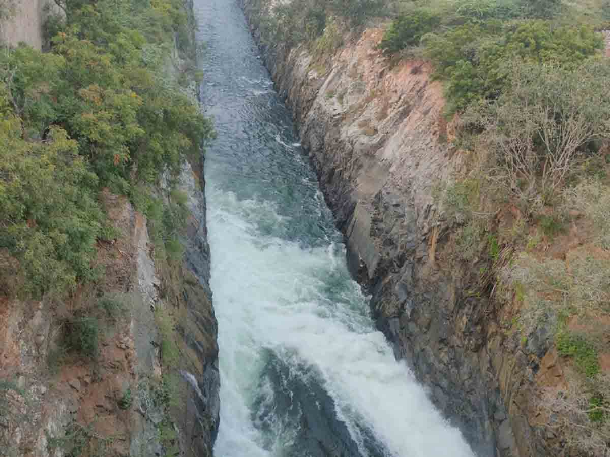 ఎడమ కాల్వకునీళ్లు