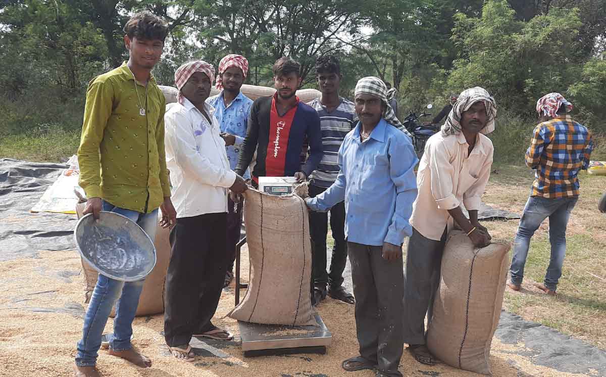 జోరుగా ధాన్యం కొనుగోళ్లు