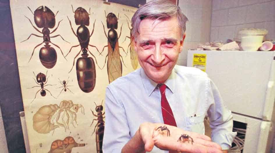 యాంట్‌మ్యాన్‌ కన్నుమూత