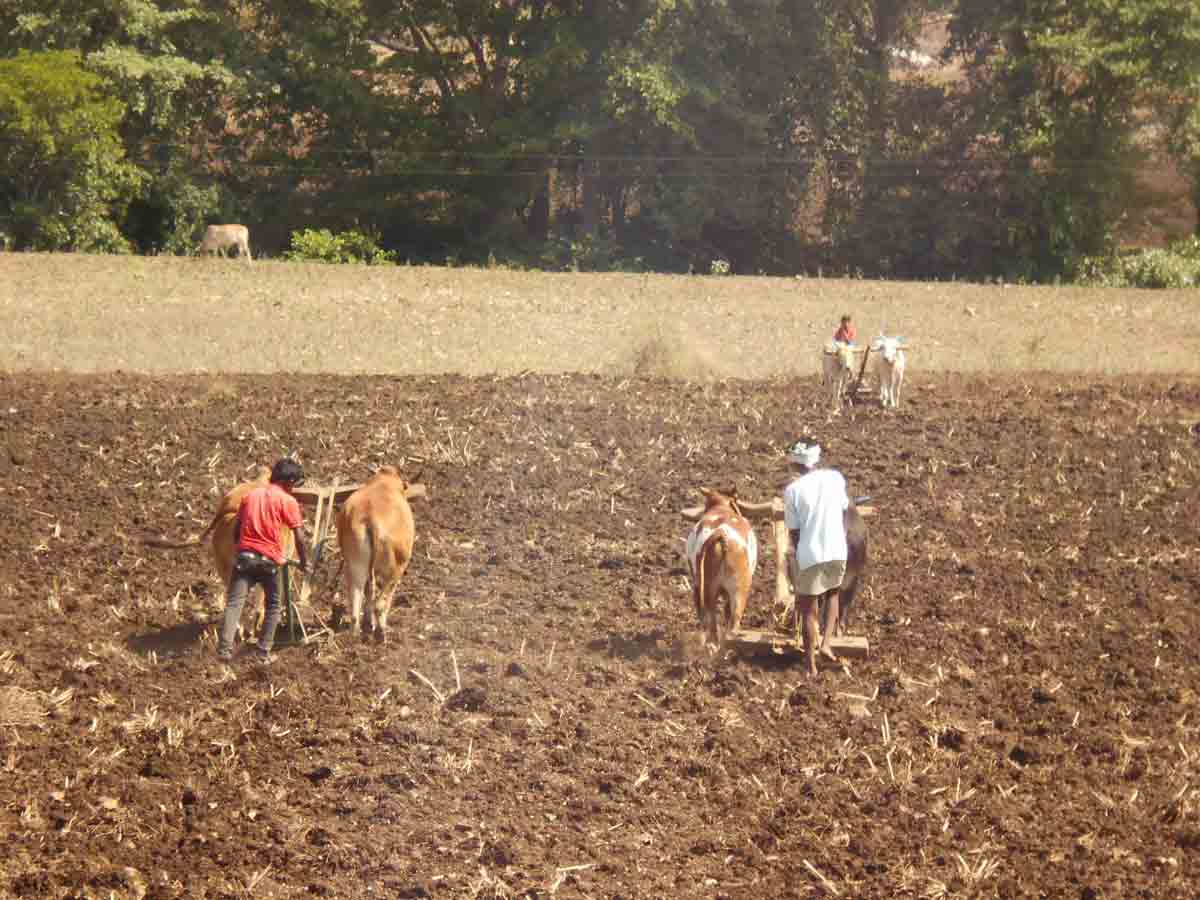 ‘పోడు’ గోడుకు శాశ్వత పరిష్కారం!