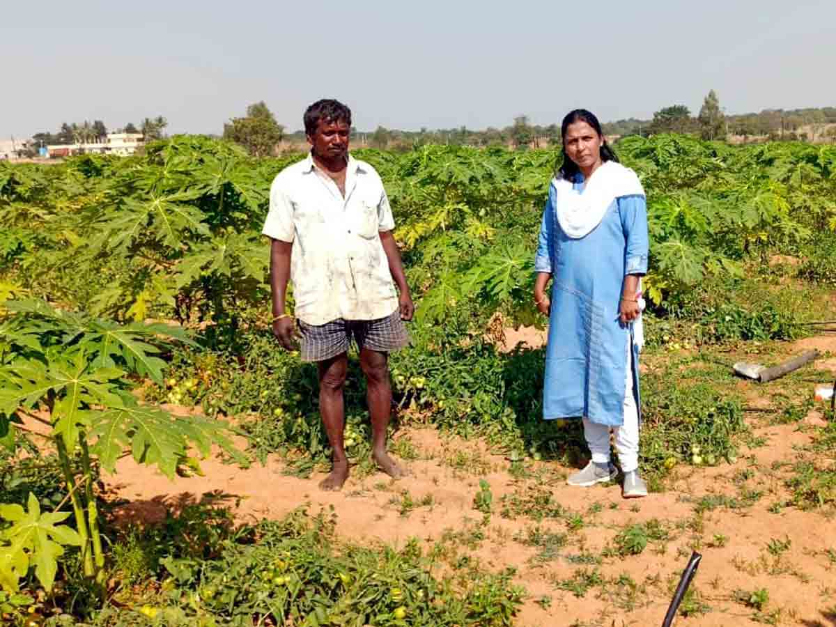Rangareddy : పండ్లతోటల పెంపకానికి ప్రభుత్వం ప్రోత్సాహం.. జిల్లా అధికారి ఉషారాణి