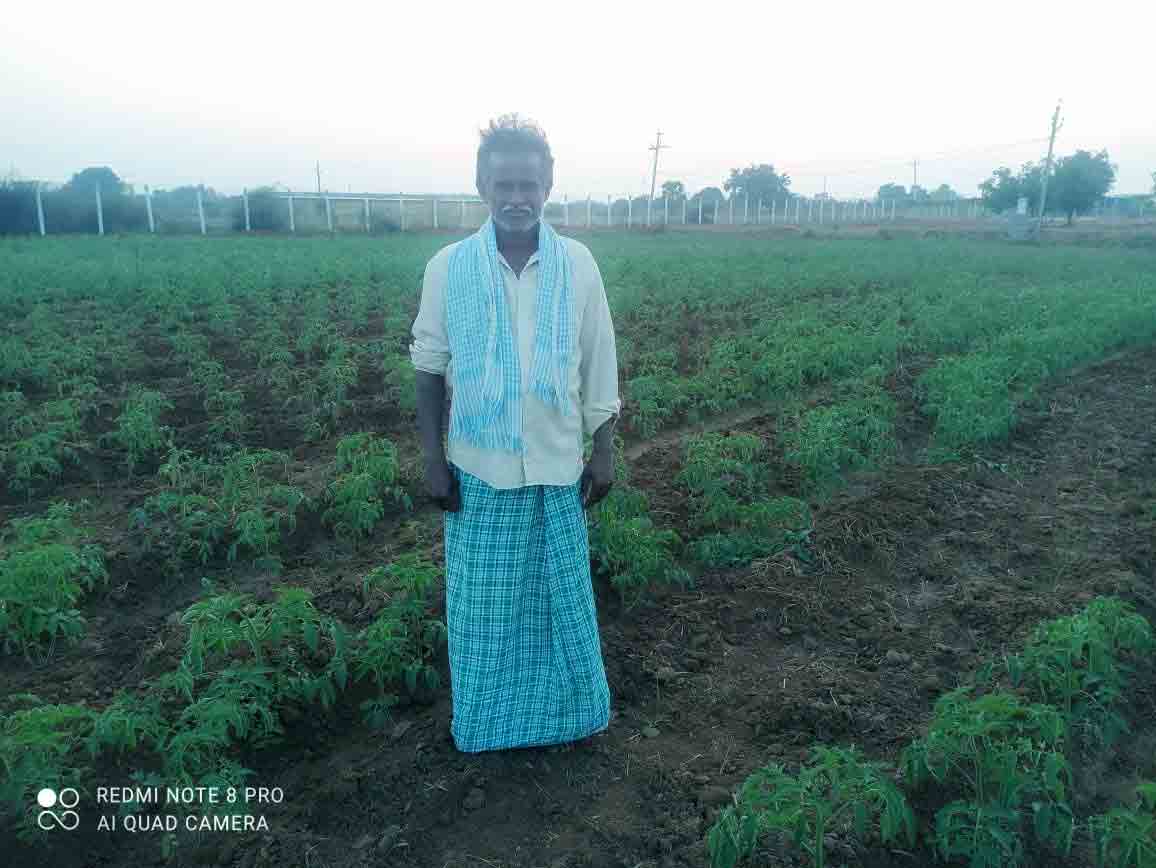 వరి వదిలేసి ఇతర పంటలవైపు