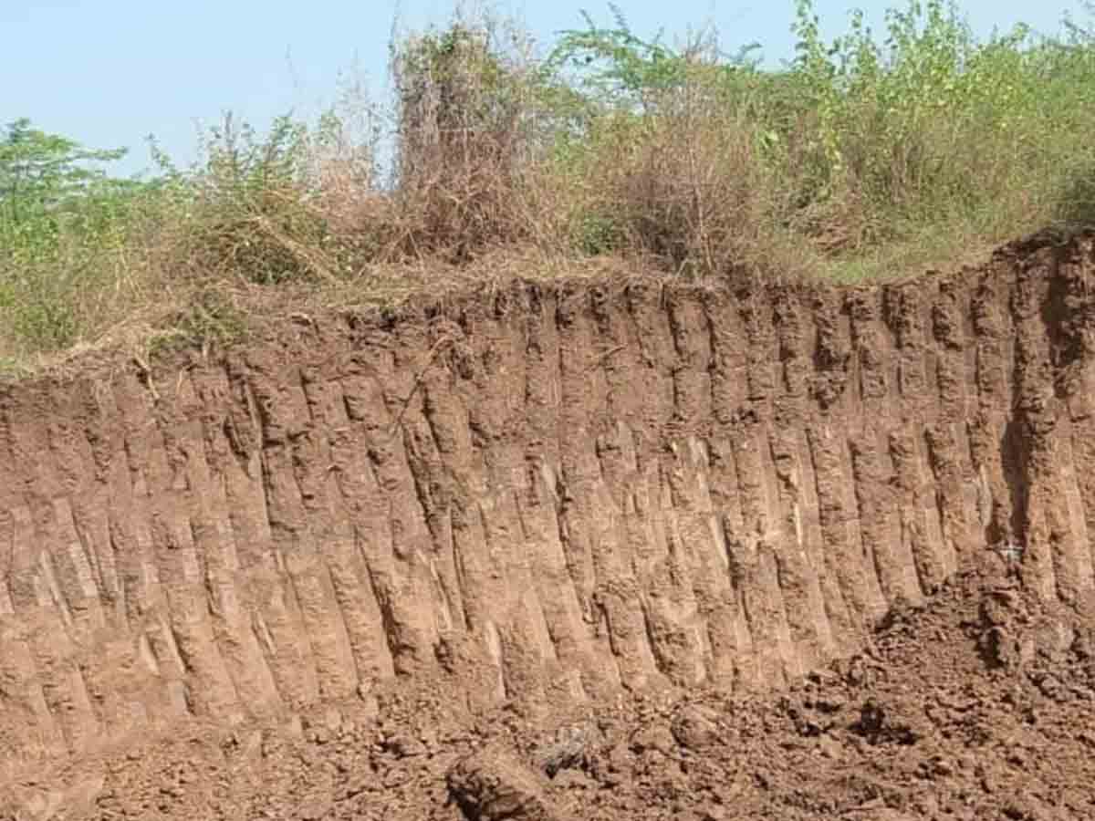 కృష్ణపట్టెలో మట్టి దందా