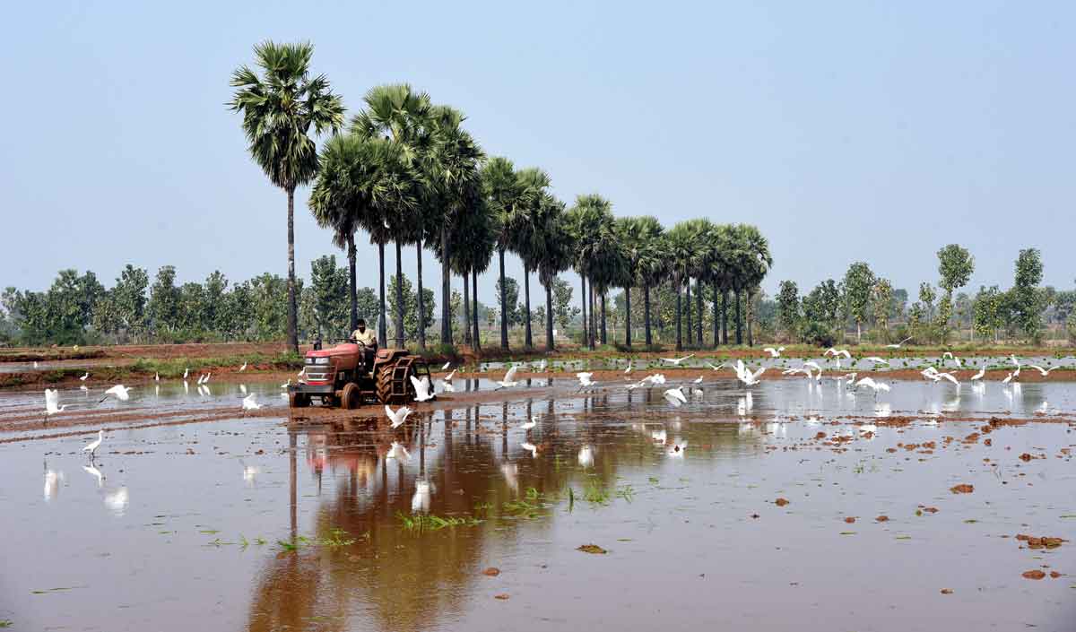 రైతు నేస్తాలను ఆహ్వానిద్దాం
