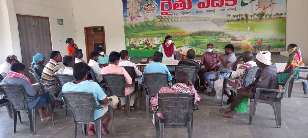 ఇతర పంటలపై దృష్టి సారించేలా..