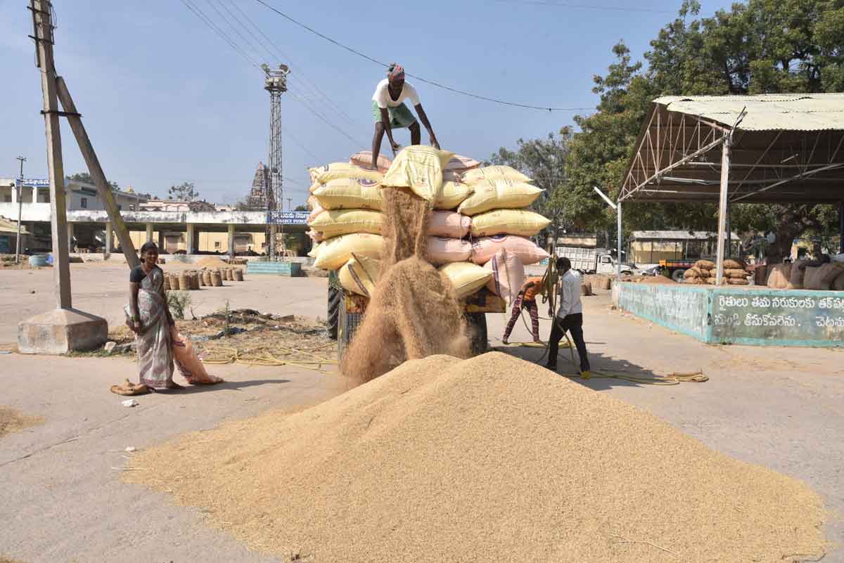 వరి వడిగా..