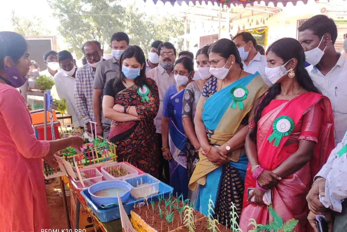 ఇతర పంటలు సాగు చేయాలి