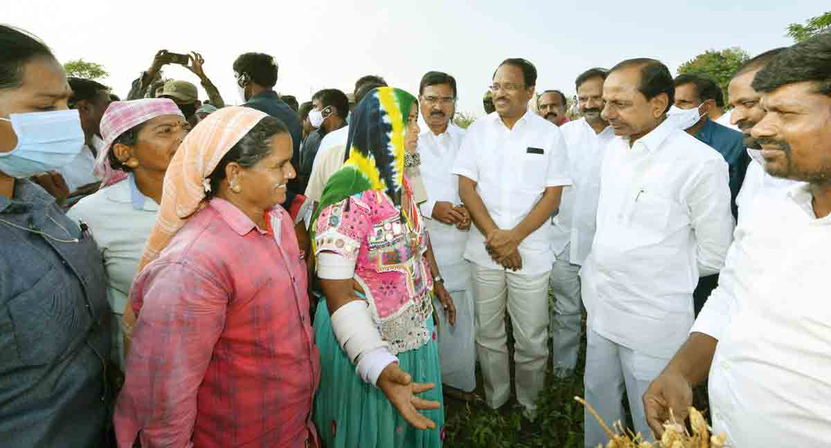 వరి వేస్తే లేనిపోని యుద్ధాలు