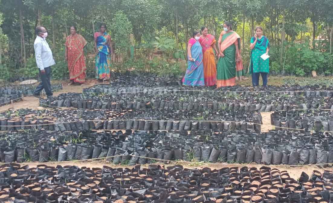 ఎనిమిదో విడుత హరితహారానికి రెడీ