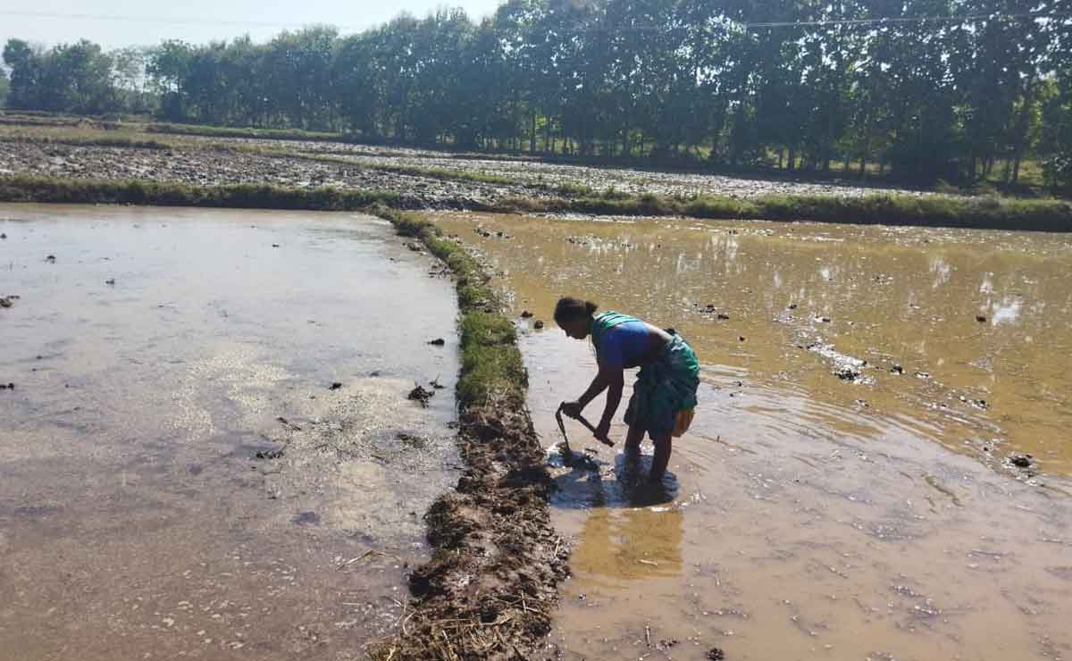 ఎస్సారెస్పీ ఫేజ్‌2కు నీటి విడుదల