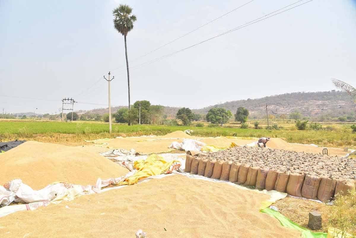 లక్ష్యం దిశగా ధాన్యం కొనుగోళ్లు