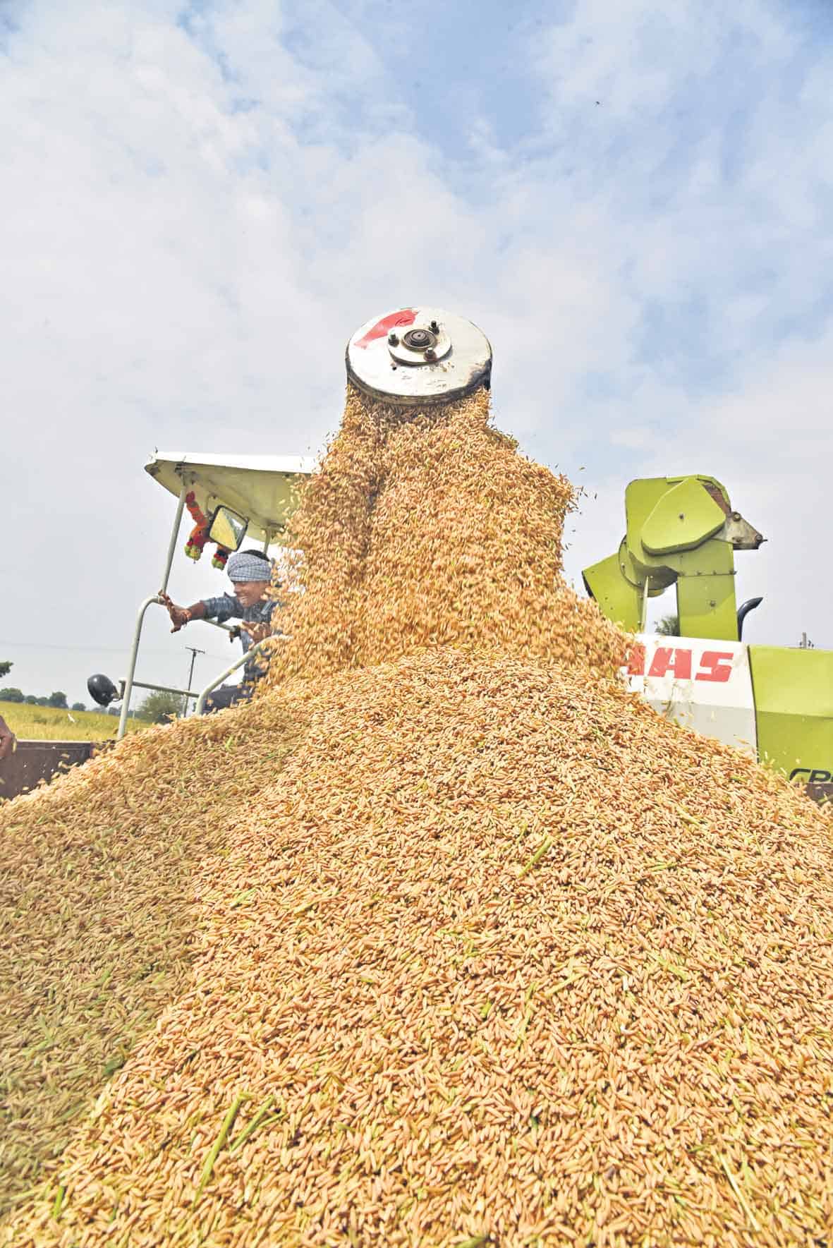 అర కోటి టన్నుల ధాన్యం కొనుగోలు