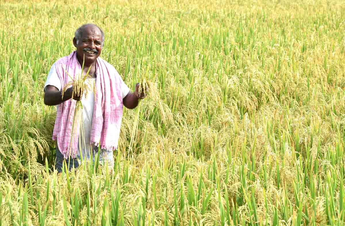 అధైర్య పడొద్దు..అండగా ఉంటా