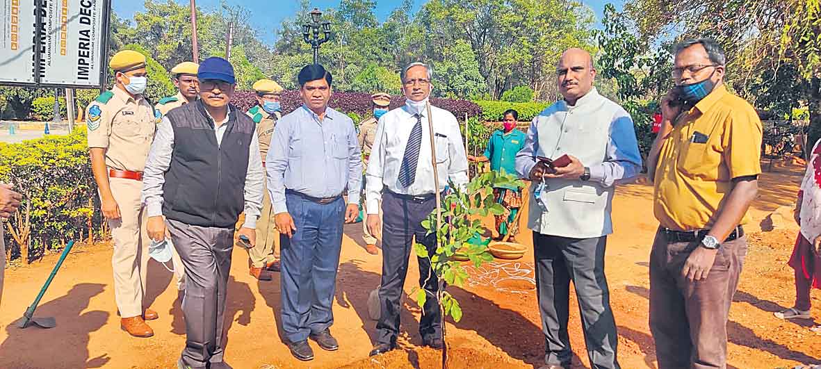 ములుగు అటవీ కళాశాల బాగుంది