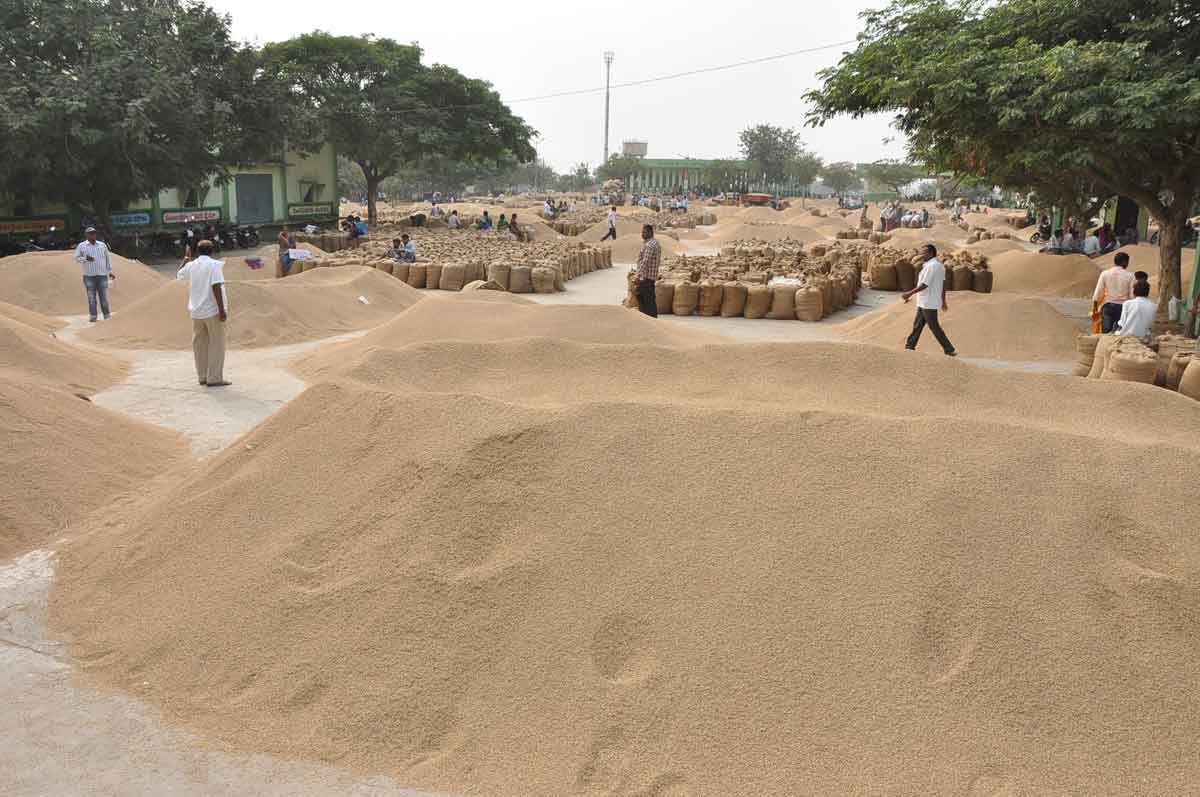 మార్కెట్లకు జవసత్వాలు