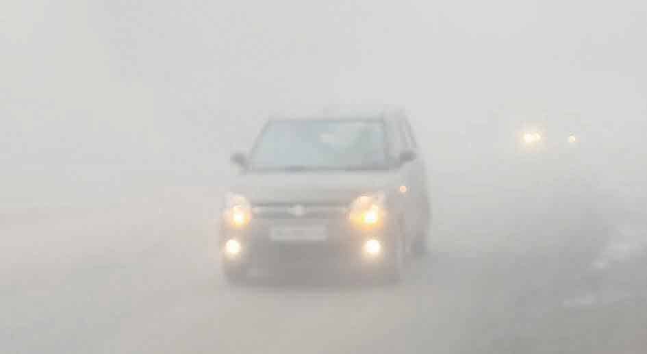 హిమ సోయగం